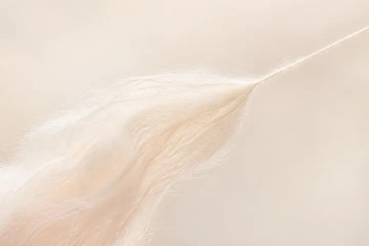 绵羊绒与纤绒纱纤维材质视觉示意